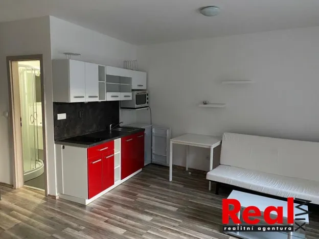 Pronájem bytu 1+kk, Brno - Židenice, Otakara Ševčíka, 30 m2