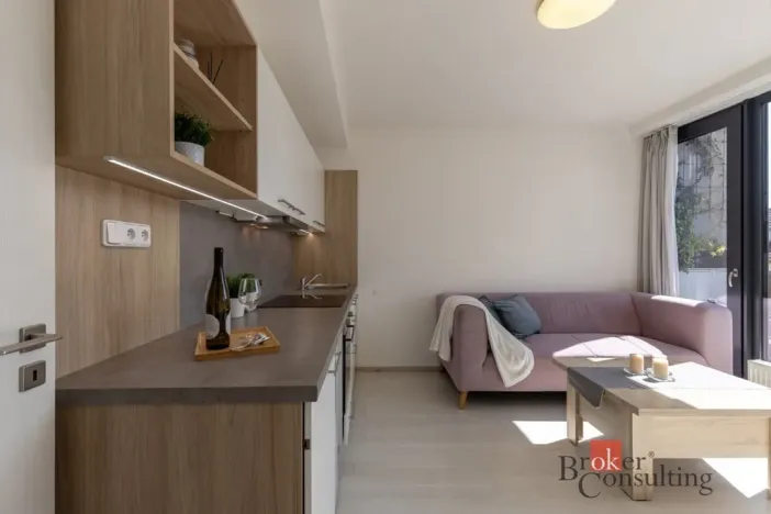 Pronájem bytu 1+kk, Brno - Jundrov, Veslařská, 27 m2