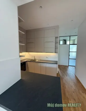 Pronájem bytu 2+kk, Praha - Podolí, Vodárenská, 55 m2