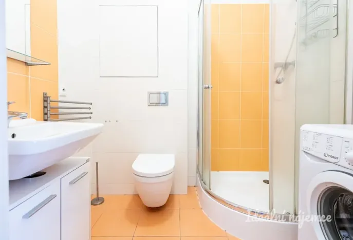 Pronájem bytu 1+kk, Praha, Freyova, 33 m2