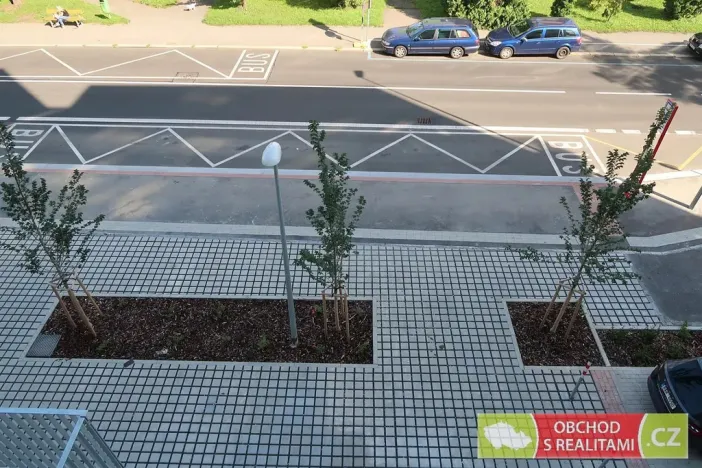 Pronájem bytu 1+kk, Praha - Strašnice, Štěchovická, 45 m2