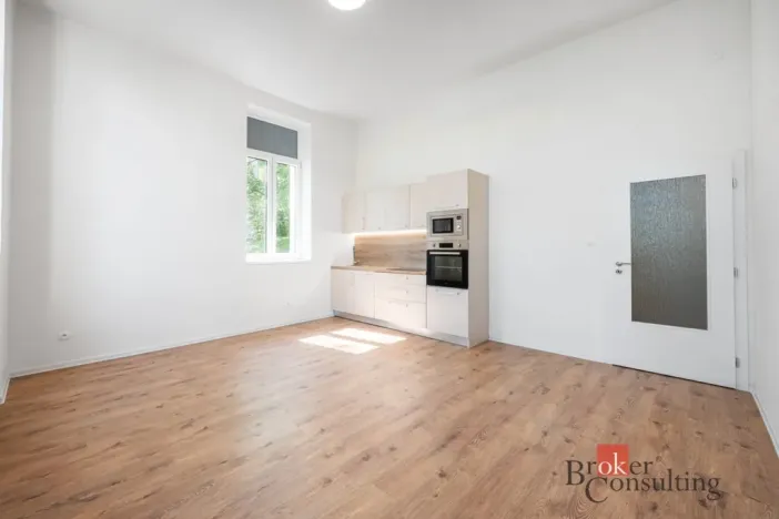 Prodej bytu 2+kk, Ostrava - Přívoz, Palackého, 48 m2