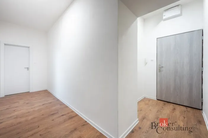Prodej bytu 2+kk, Ostrava - Přívoz, Palackého, 48 m2