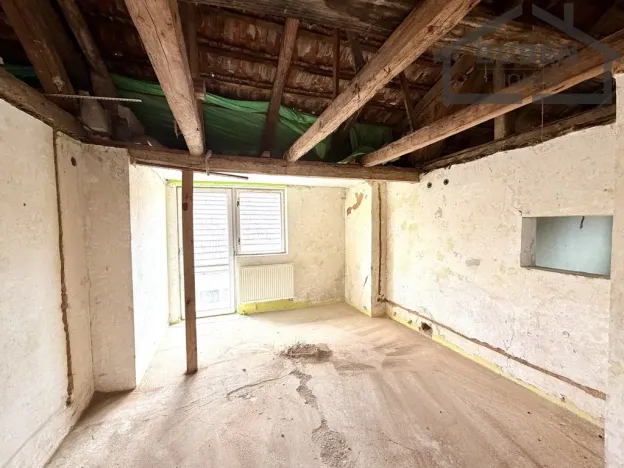 Prodej rodinného domu, Bor - Holostřevy, 380 m2