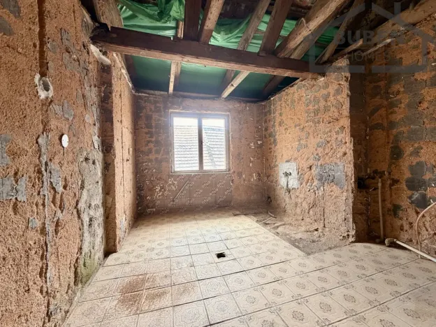 Prodej rodinného domu, Bor - Holostřevy, 380 m2