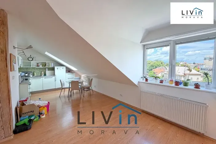 Pronájem bytu 1+kk, Olomouc, Krakovská, 80 m2