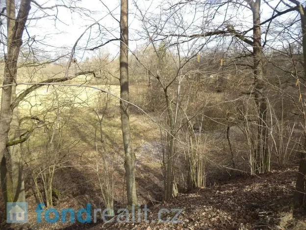 Prodej pozemku, Novosedly nad Nežárkou, 22234 m2