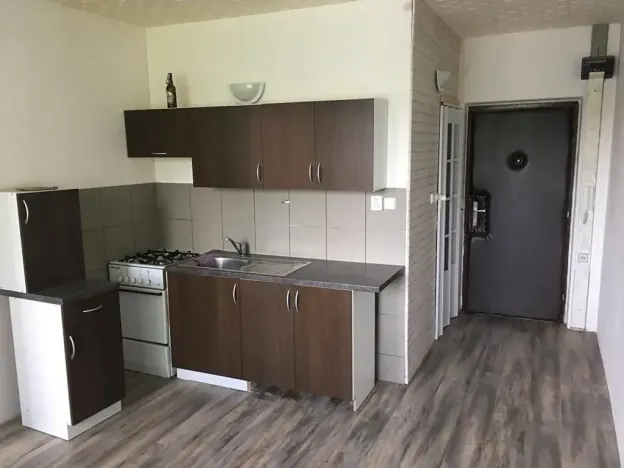 Pronájem bytu 1+1, Chodov, Husova, 38 m2