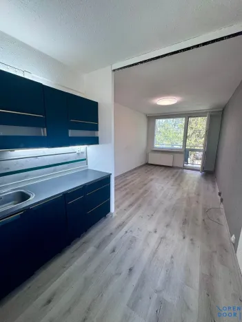 Prodej bytu 2+kk, Bílina, Tylova, 40 m2