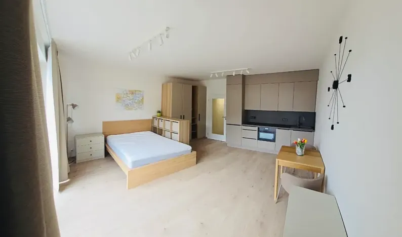 Pronájem bytu 1+kk, Praha - Vysočany, Gerstelova, 36 m2