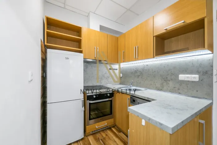 Pronájem bytu 1+1, Radnice, Na Potocích, 32 m2