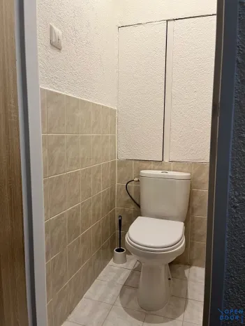 Pronájem bytu 1+1, Habartov, Raisova, 42 m2