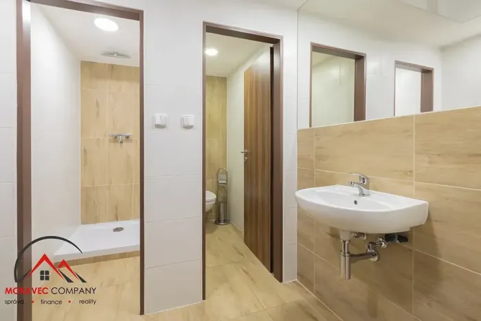 Pronájem bytu 1+1, Ostrava, Cihelní, 31 m2