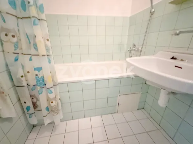 Pronájem bytu 1+1, Zlín, Dřevnická, 39 m2