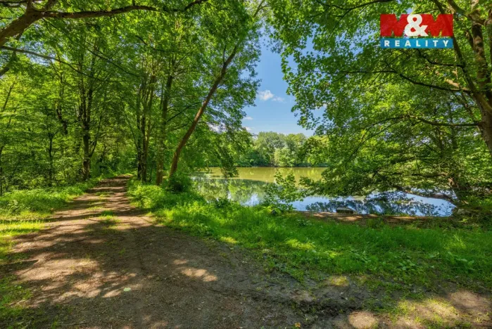 Prodej zemědělské usedlosti, Neustupov - Jiřetice, 200 m2