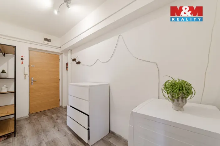 Prodej bytu 1+1, Opava - Předměstí, Polanova, 38 m2
