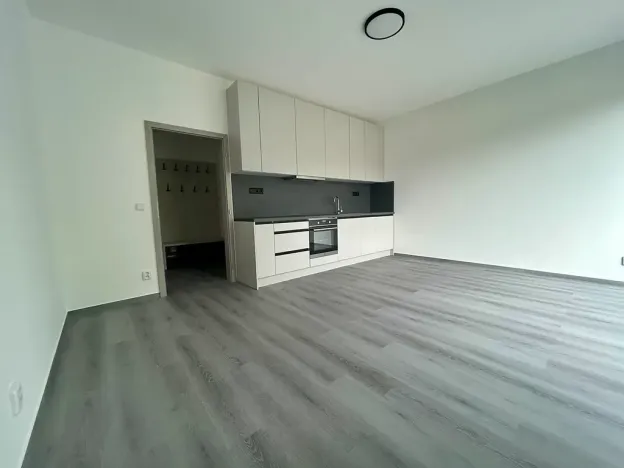 Pronájem bytu 2+kk, Milovice, Kaštanová, 49 m2