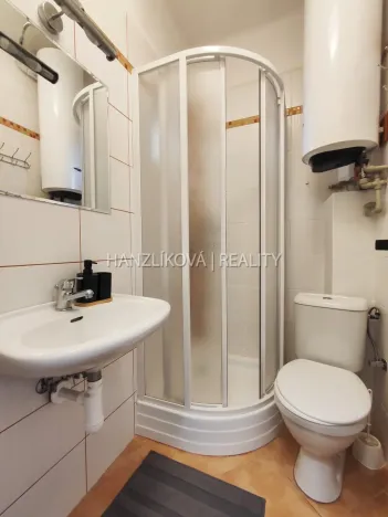 Pronájem bytu 1+kk, České Budějovice - České Budějovice 3, Lipenská, 27 m2