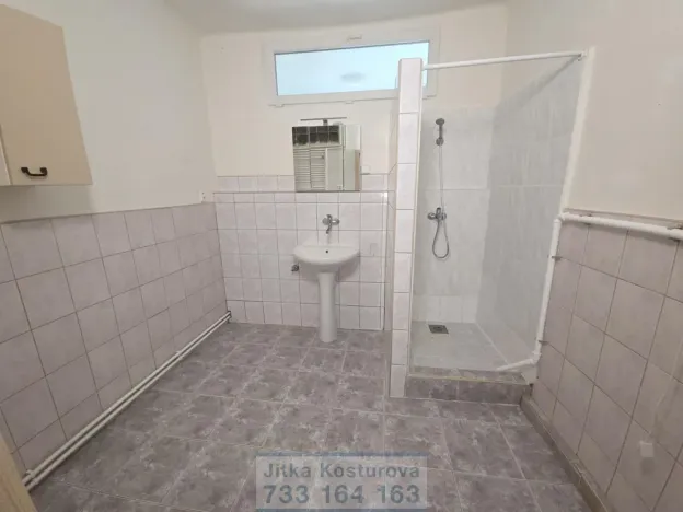 Pronájem bytu 3+kk, Krnov - Pod Cvilínem, Stará, 100 m2
