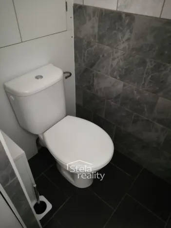 Pronájem bytu 1+1, Bruntál, Družební, 32 m2