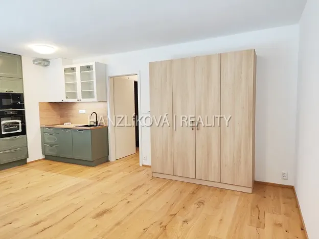 Pronájem bytu 1+kk, České Budějovice - České Budějovice 3, Fráni Šrámka, 41 m2