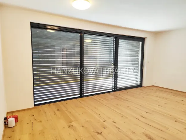 Pronájem bytu 1+kk, České Budějovice - České Budějovice 3, Fráni Šrámka, 41 m2