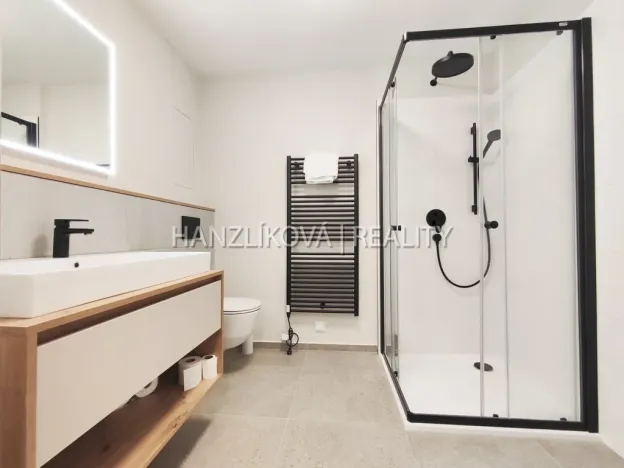 Pronájem bytu 1+kk, České Budějovice - České Budějovice 3, Fráni Šrámka, 41 m2