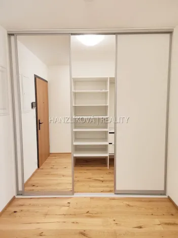 Pronájem bytu 1+kk, České Budějovice - České Budějovice 3, Fráni Šrámka, 41 m2