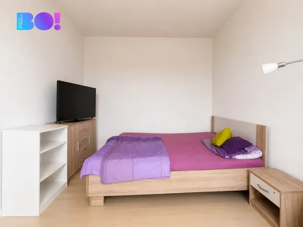 Prodej bytu 1+1, Prostějov, Nerudova, 37 m2