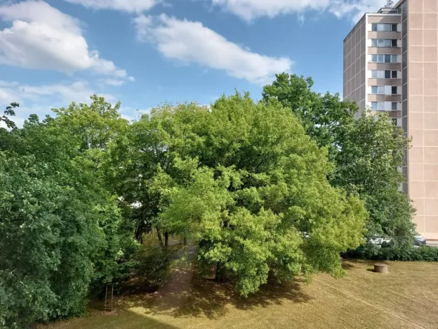 Pronájem bytu 1+kk, Hradec Králové - Pražské Předměstí, Baarova, 33 m2
