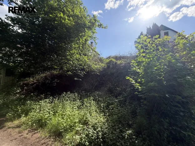 Prodej zahrady, Želiv, 405 m2