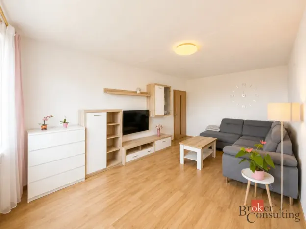 Prodej bytu 3+1, Plzeň, Hodonínská, 77 m2