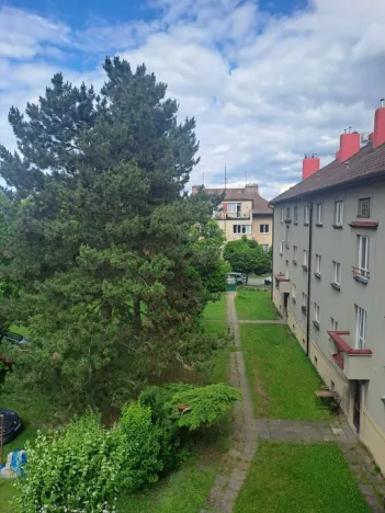 Pronájem bytu 3+kk, Pardubice, Sezemická, 56 m2