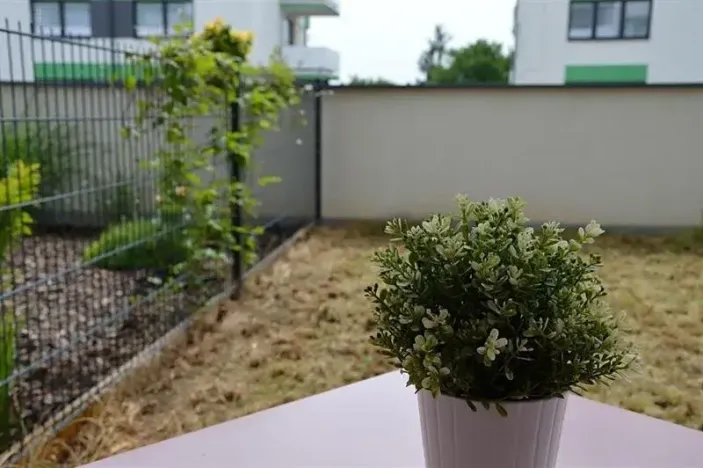 Pronájem bytu 1+kk, Olomouc, Loudova, 37 m2