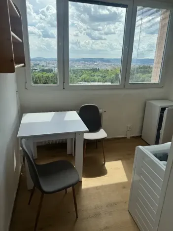 Pronájem bytu 1+1, Brno, Ježkova, 40 m2
