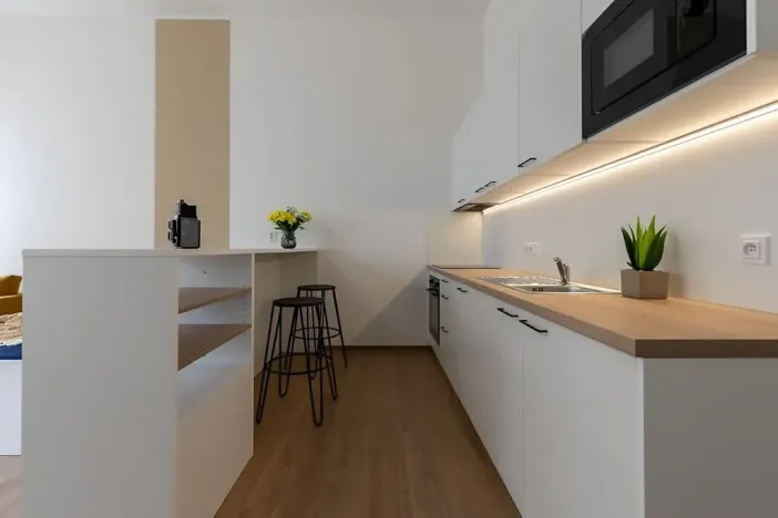 Pronájem bytu 1+kk, Brno, Poštovská, 46 m2