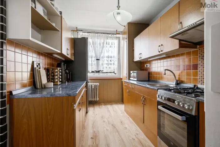 Prodej bytu 4+1, Teplice - Trnovany, Krušnohorská, 83 m2