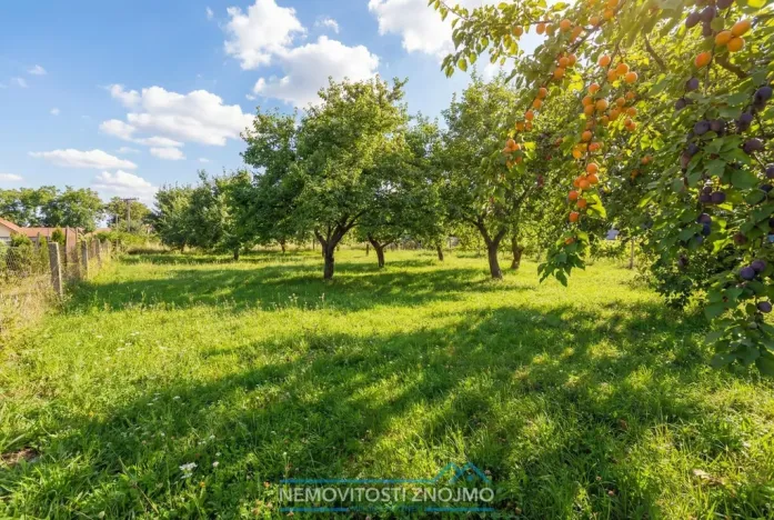 Prodej pozemku pro bydlení, Pavlov, Družstevní, 1670 m2