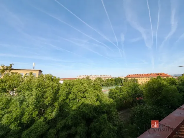 Prodej bytu 1+1, Plzeň - Východní Předměstí, Francouzská třída, 39 m2
