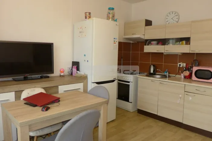 Prodej bytu 1+1, Plzeň - Severní Předměstí, Sokolovská, 40 m2