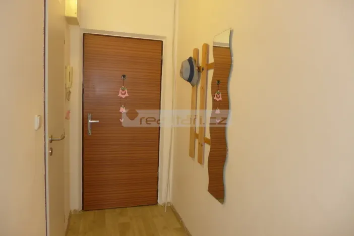 Prodej bytu 1+1, Plzeň - Severní Předměstí, Sokolovská, 40 m2