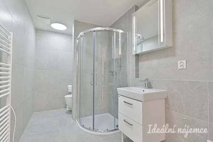 Pronájem bytu 1+kk, Brno, U zoologické zahrady, 37 m2