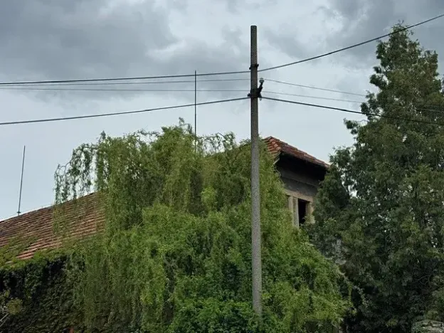 Dražba rodinného domu, Velký Chlumec, 385 m2