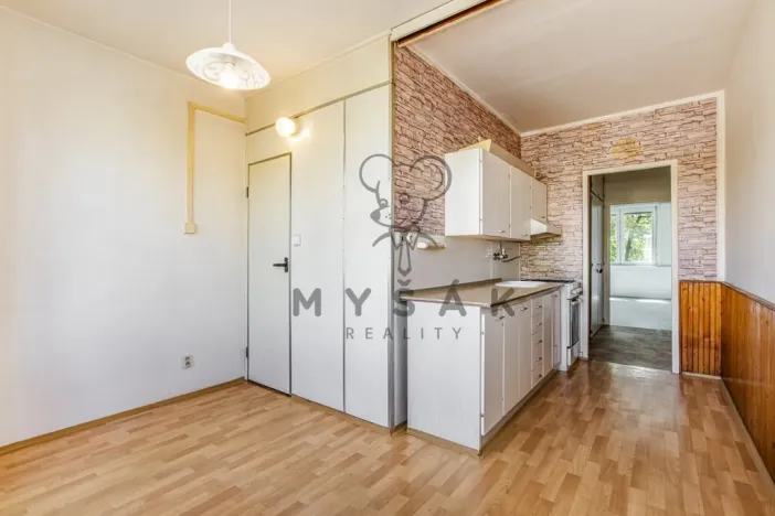 Prodej bytu 2+1, České Budějovice - České Budějovice 2, Emy Destinové, 61 m2