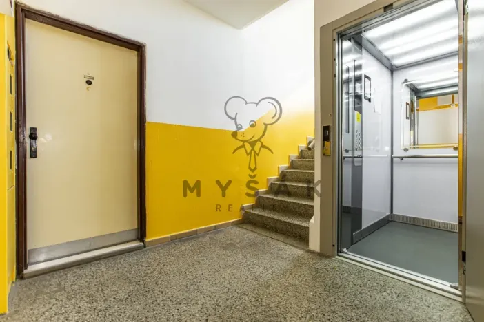 Prodej bytu 2+1, České Budějovice - České Budějovice 2, Emy Destinové, 61 m2