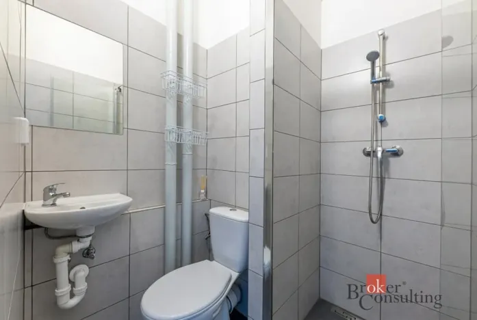 Prodej bytu 1+kk, Příbram - Příbram I, Riegrova, 23 m2
