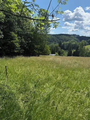 Prodej pozemku pro bydlení, Hrádek, 7359 m2