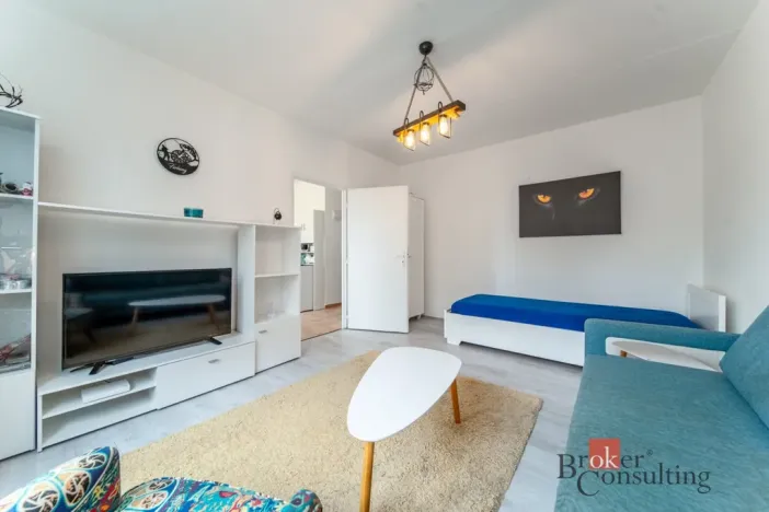 Prodej bytu 1+1, Cheb, Palackého, 36 m2