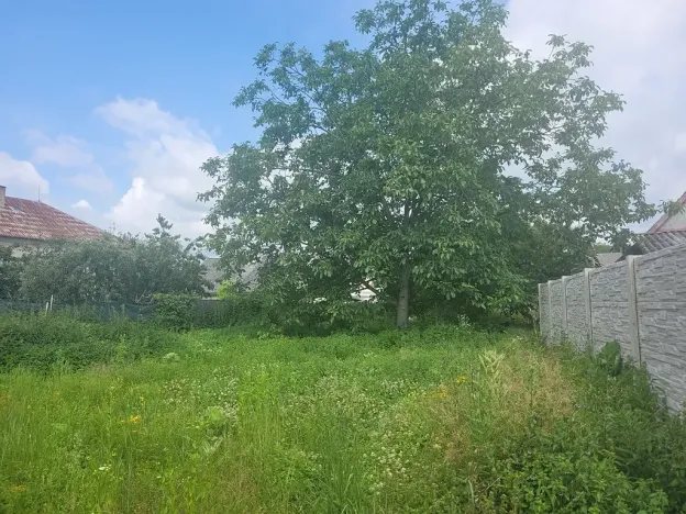 Prodej pozemku pro bydlení, Dlouhá Loučka, 1890 m2