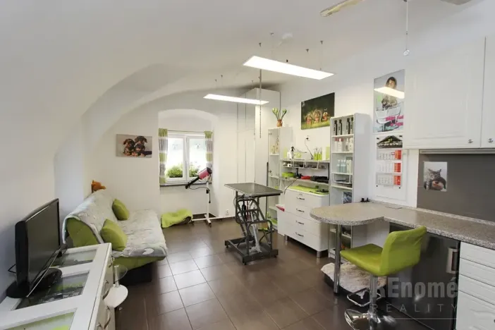 Prodej bytu 1+kk, Praha - Ruzyně, Drnovská, 27 m2